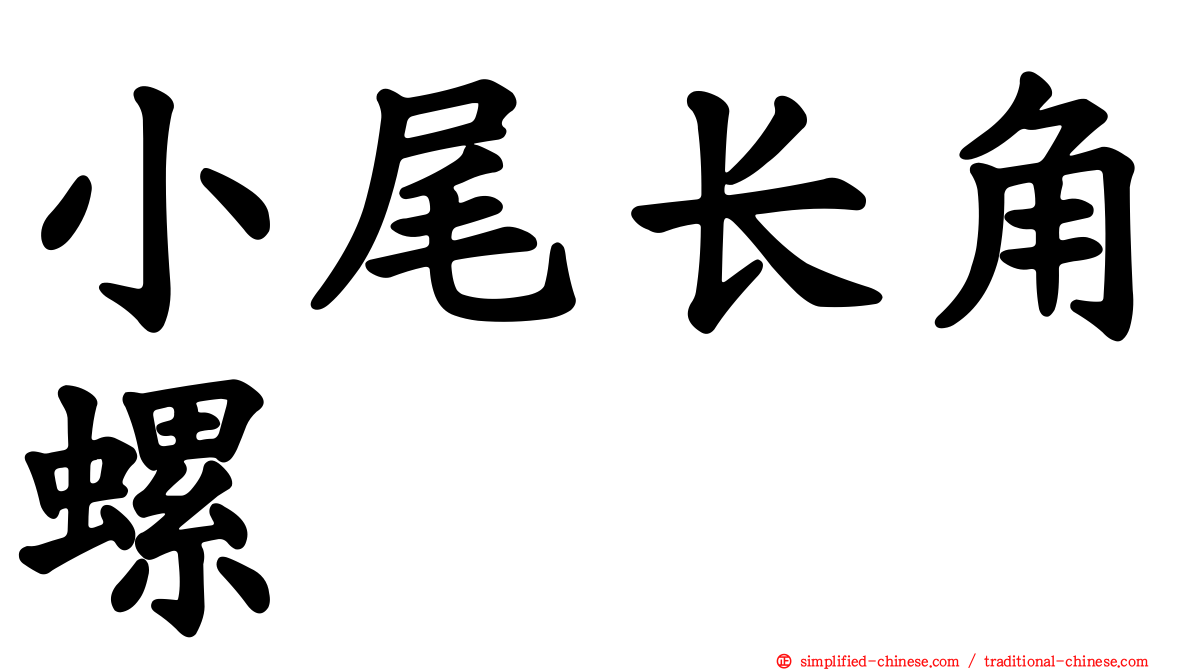 小尾长角螺
