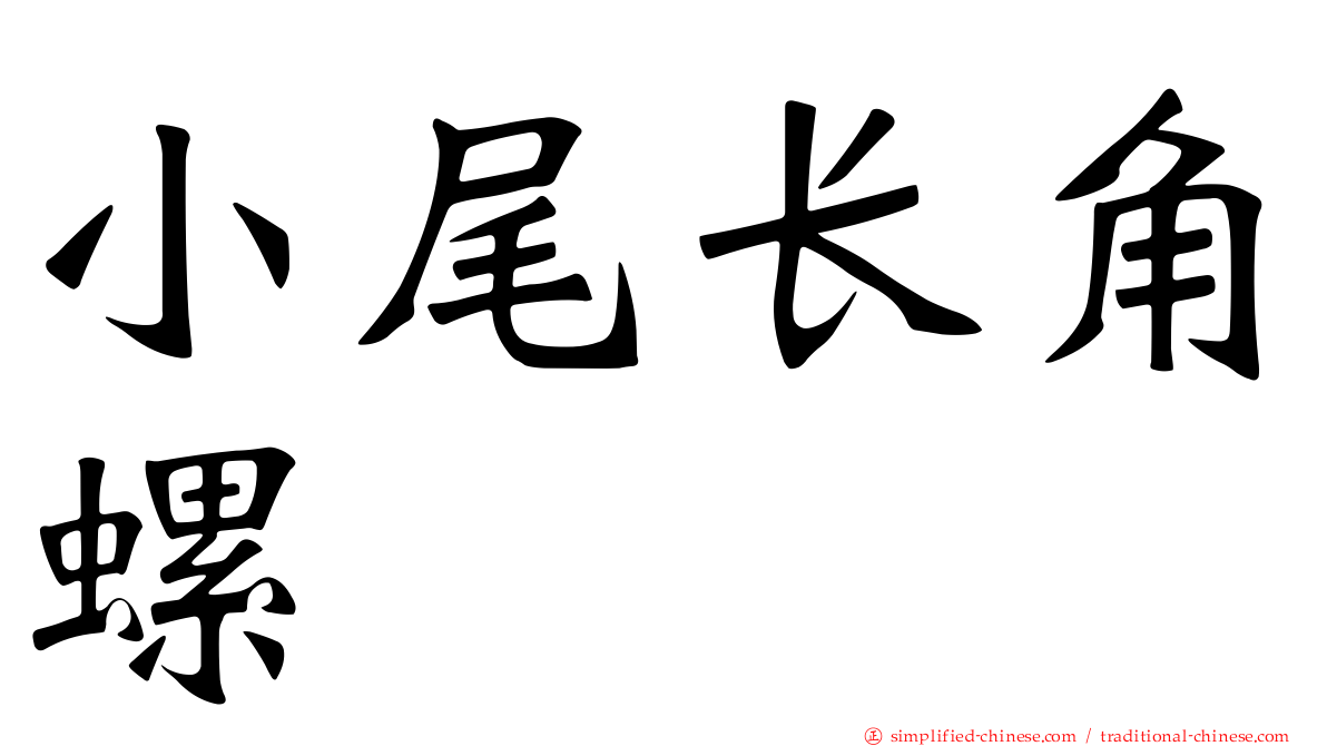 小尾长角螺