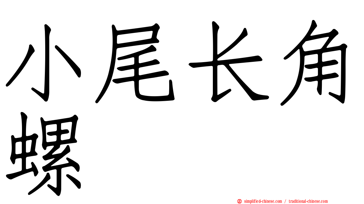 小尾长角螺