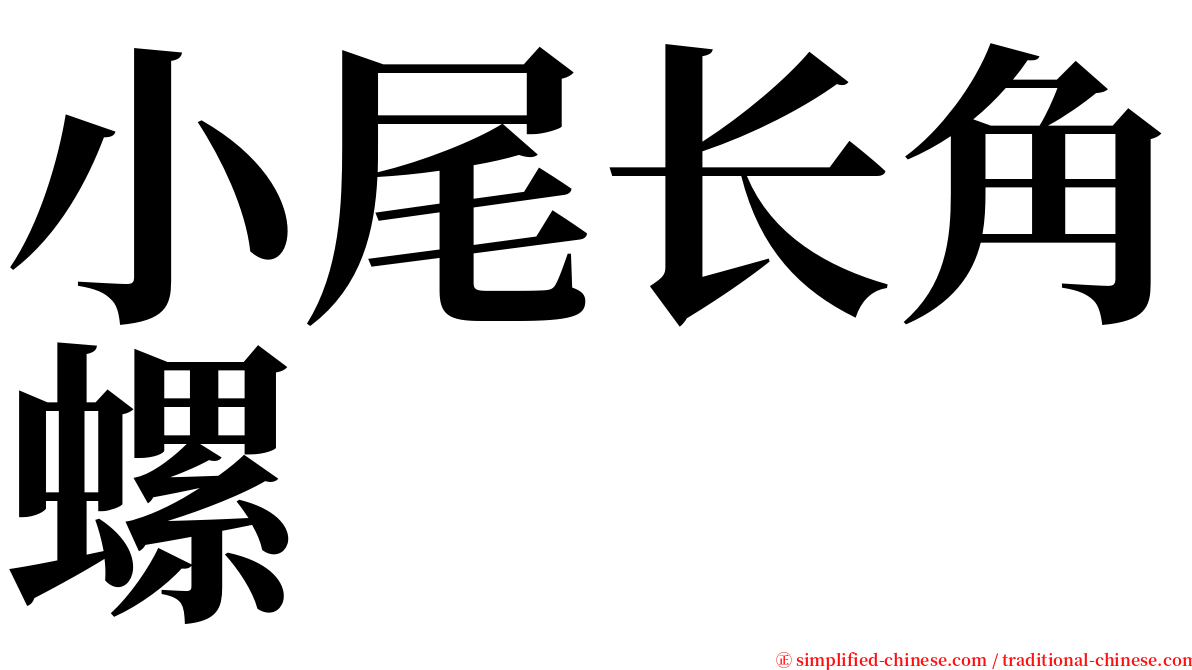 小尾长角螺 serif font