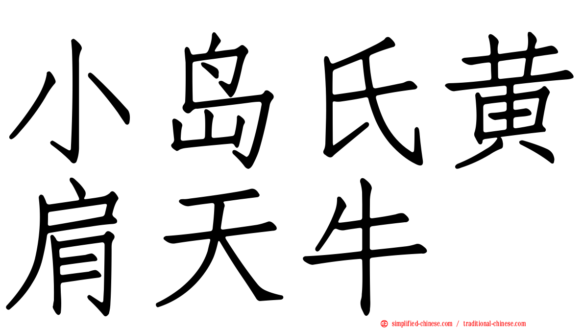 小岛氏黄肩天牛