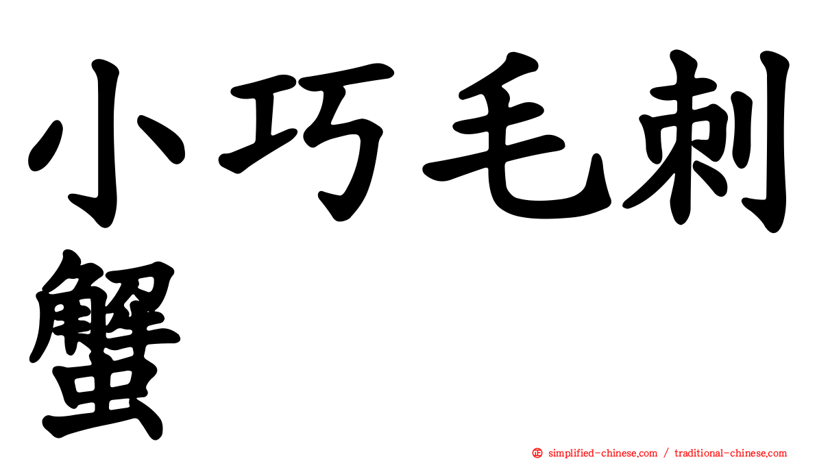 小巧毛刺蟹