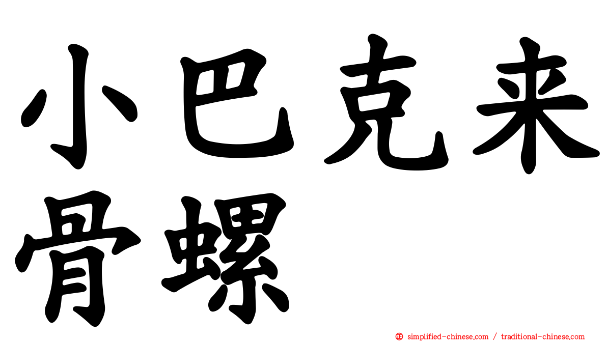 小巴克来骨螺