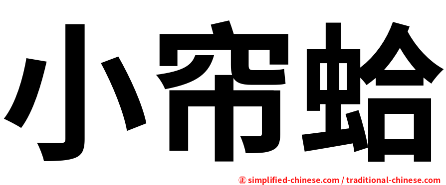 小帘蛤