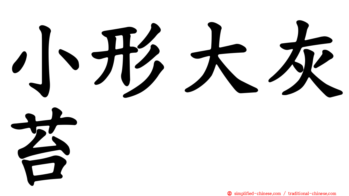 小形大灰苔