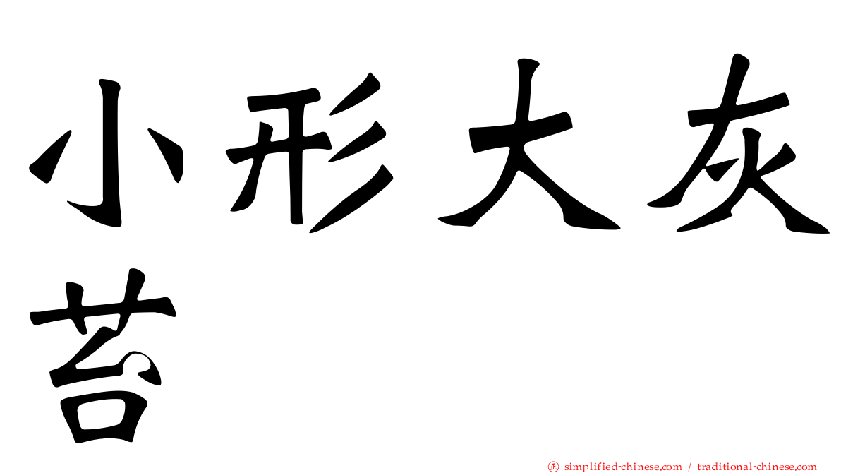 小形大灰苔