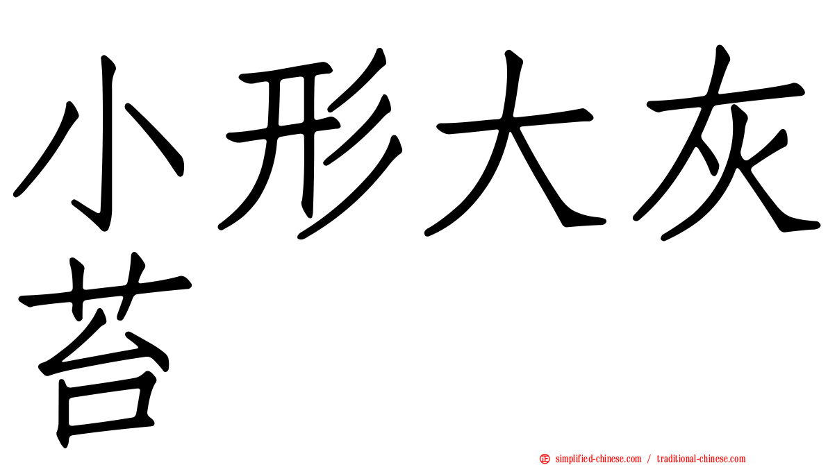 小形大灰苔