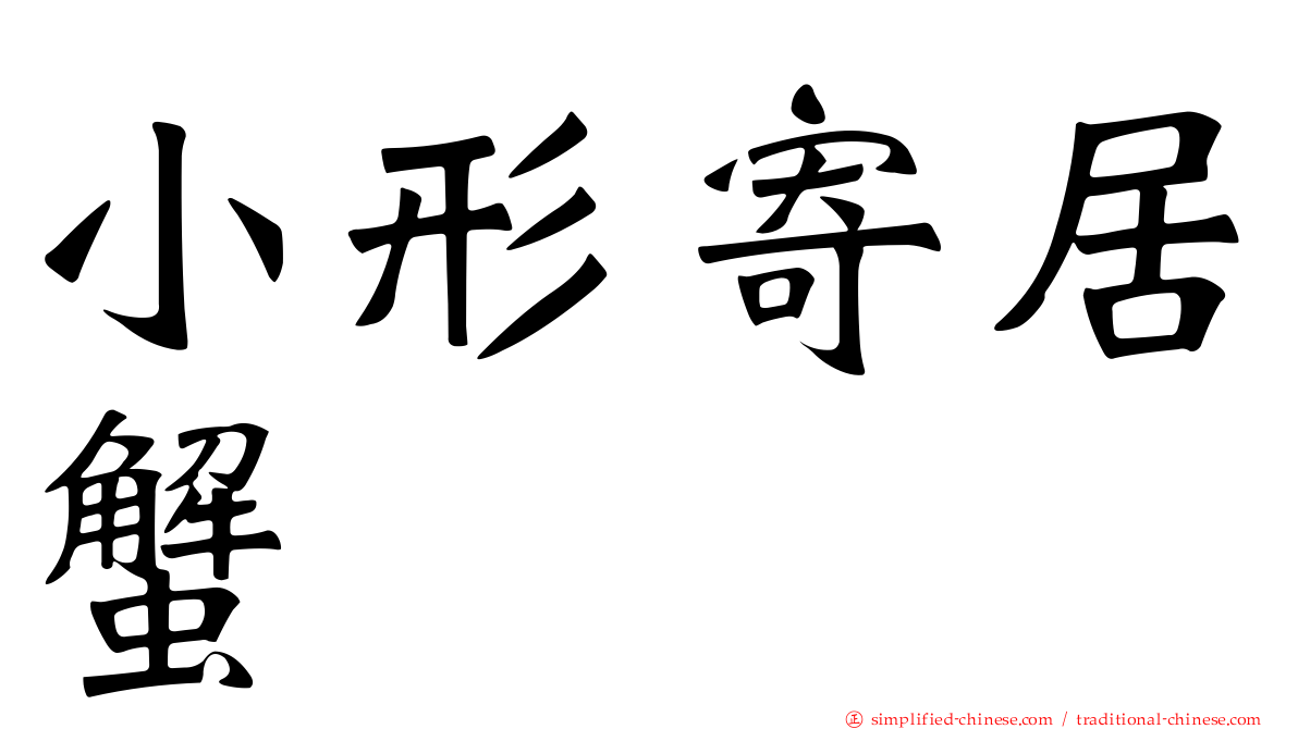小形寄居蟹