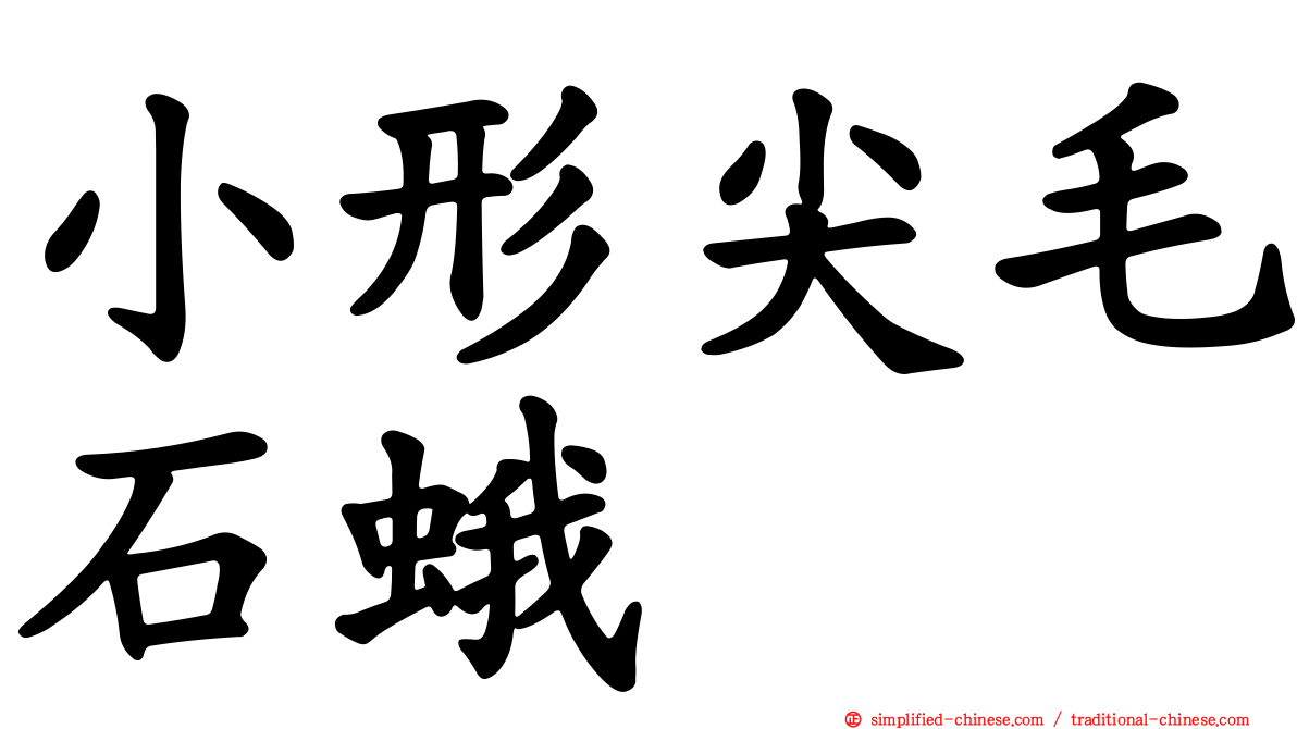小形尖毛石蛾