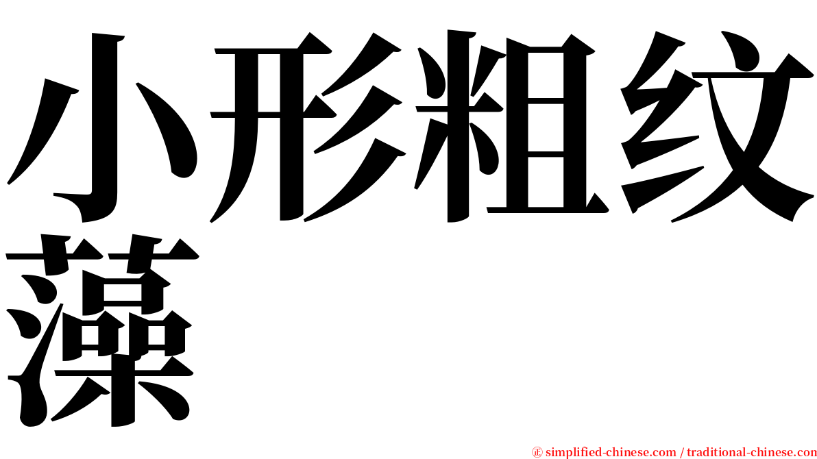 小形粗纹藻 serif font