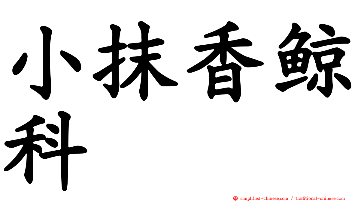 小抹香鲸科