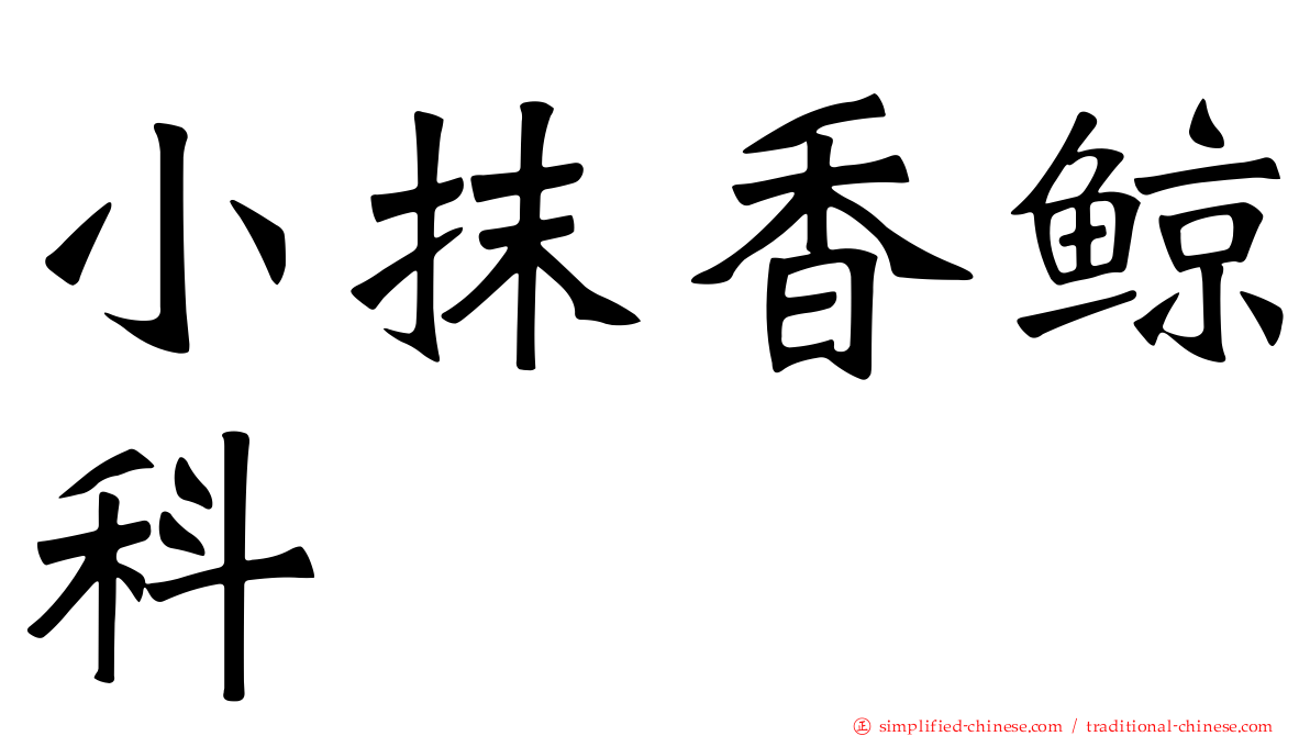 小抹香鲸科
