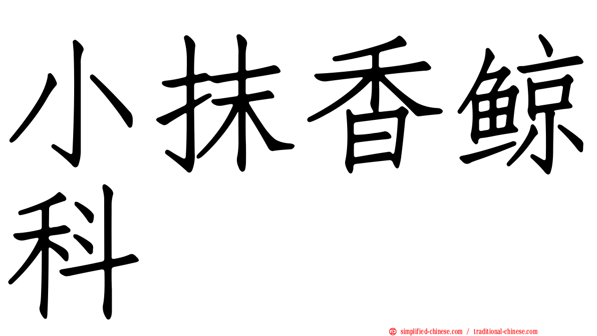 小抹香鲸科