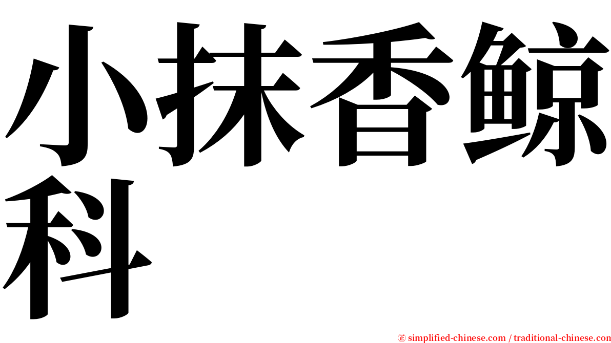 小抹香鲸科 serif font