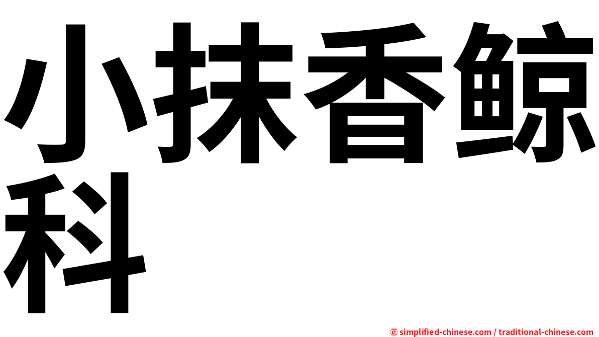 小抹香鲸科