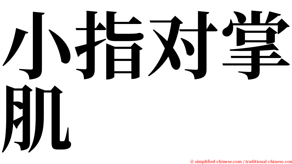 小指对掌肌 serif font