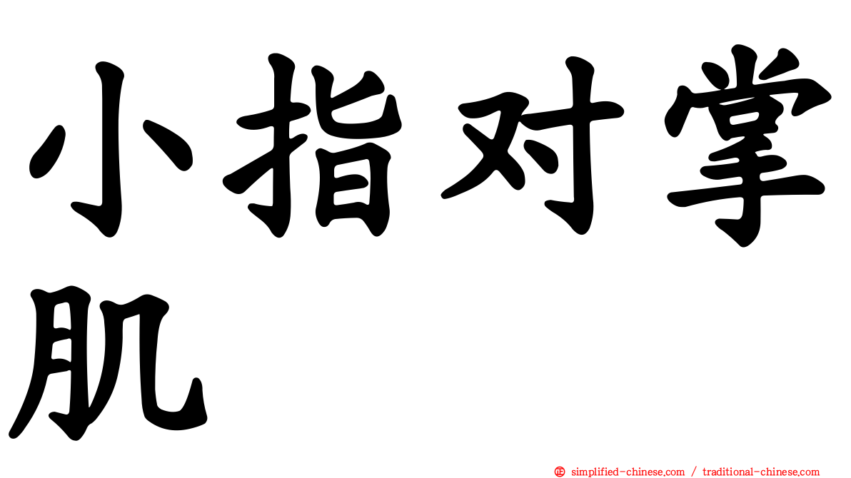 小指对掌肌
