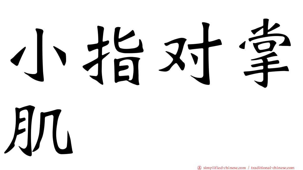 小指对掌肌
