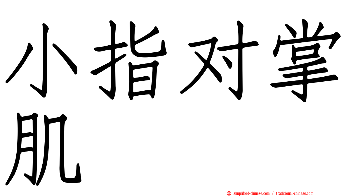 小指对掌肌