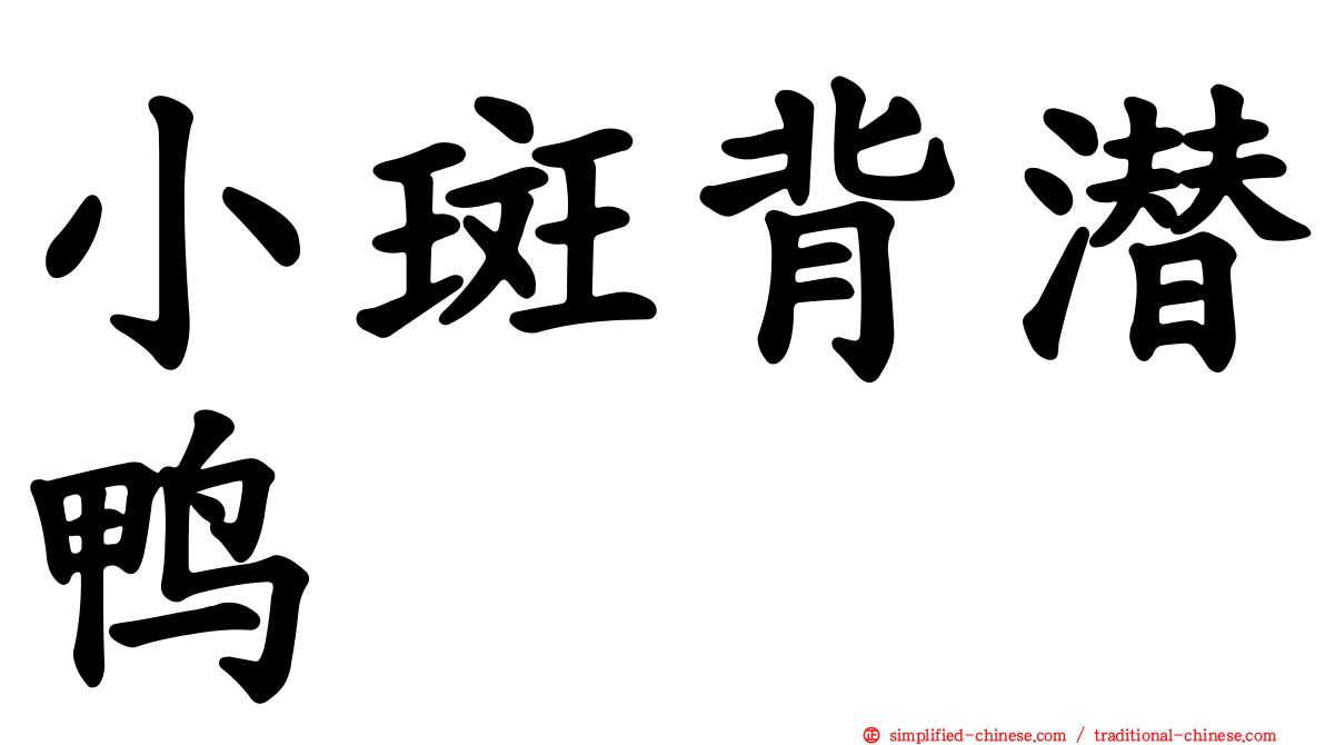 小斑背潜鸭