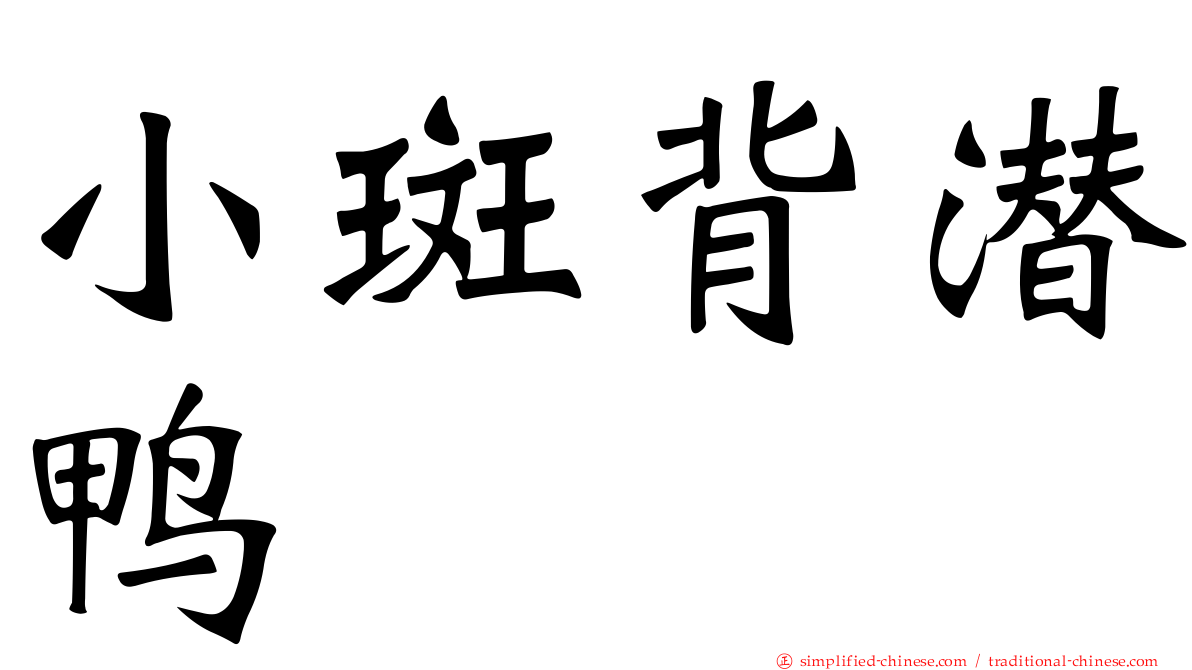 小斑背潜鸭