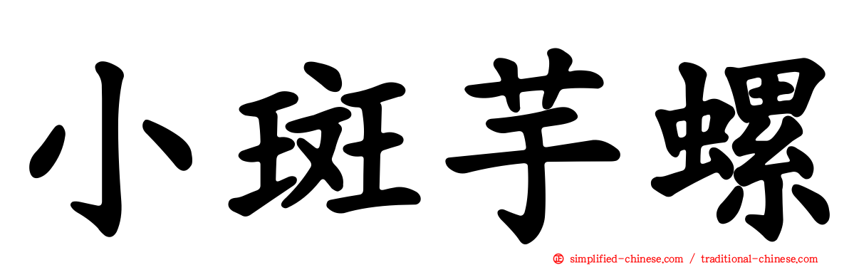 小斑芋螺
