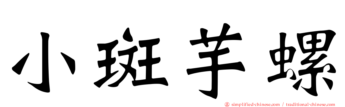 小斑芋螺