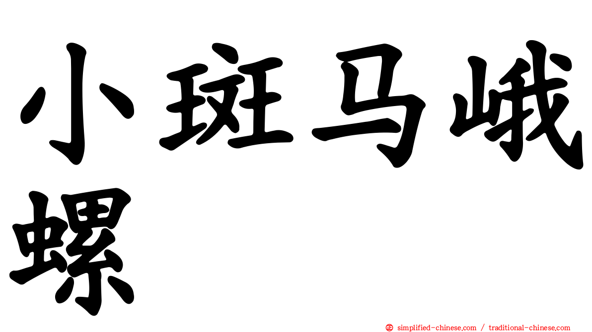 小斑马峨螺