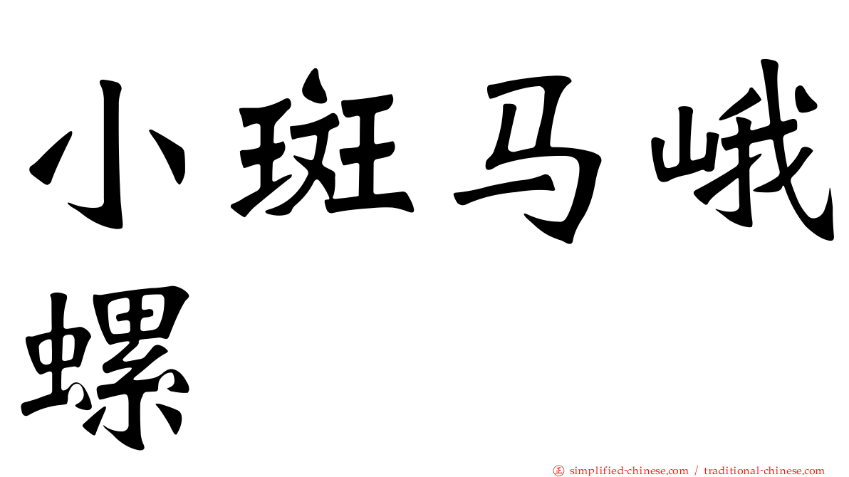 小斑马峨螺