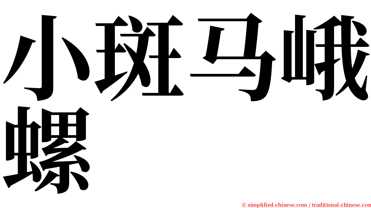 小斑马峨螺 serif font