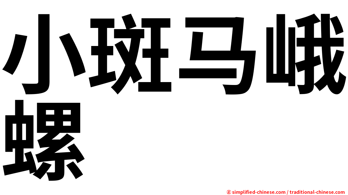 小斑马峨螺