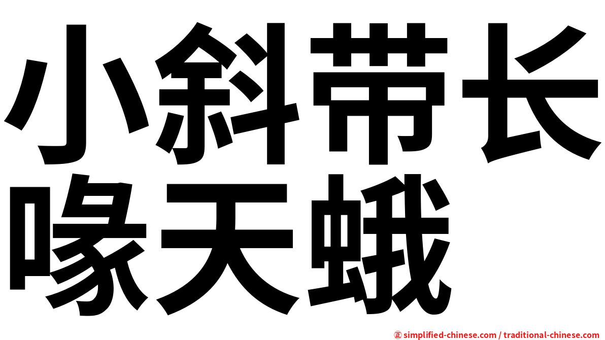 小斜带长喙天蛾