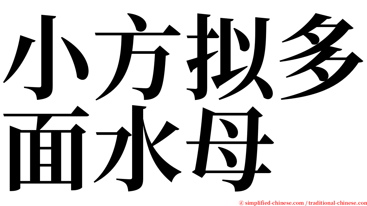 小方拟多面水母 serif font