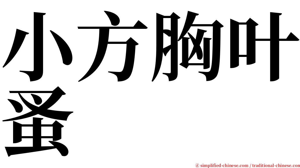 小方胸叶蚤 serif font