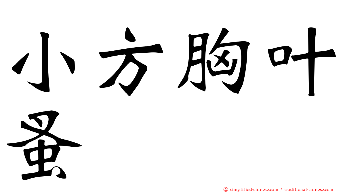 小方胸叶蚤