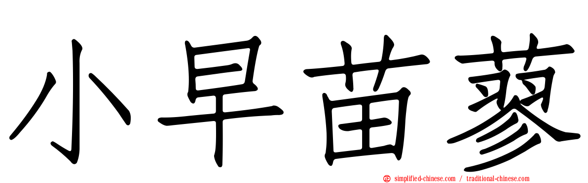 小早苗蓼