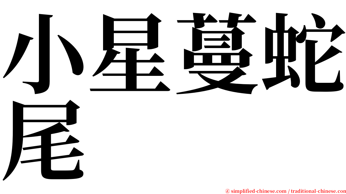 小星蔓蛇尾 serif font