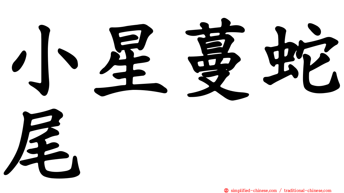 小星蔓蛇尾