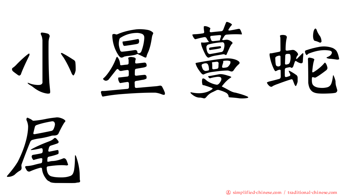 小星蔓蛇尾