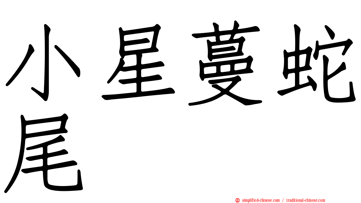 小星蔓蛇尾