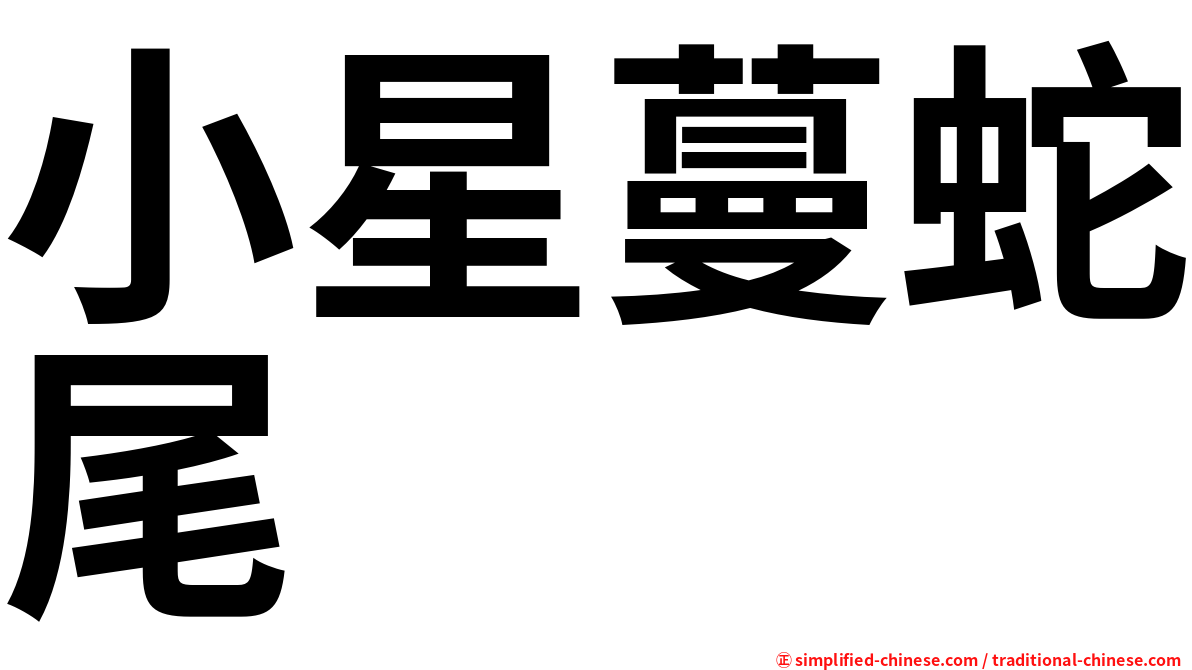 小星蔓蛇尾