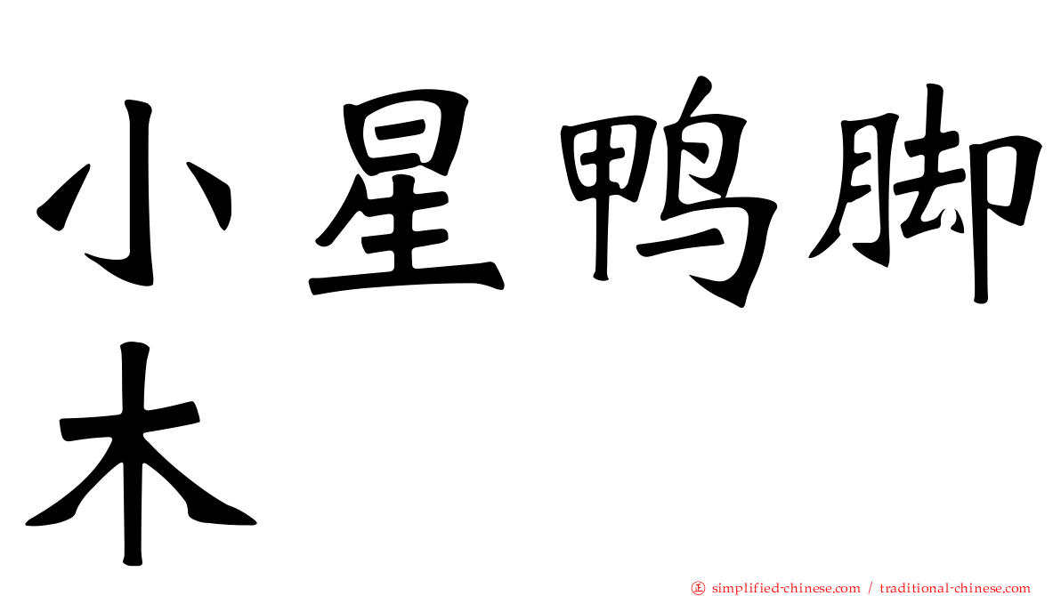 小星鸭脚木