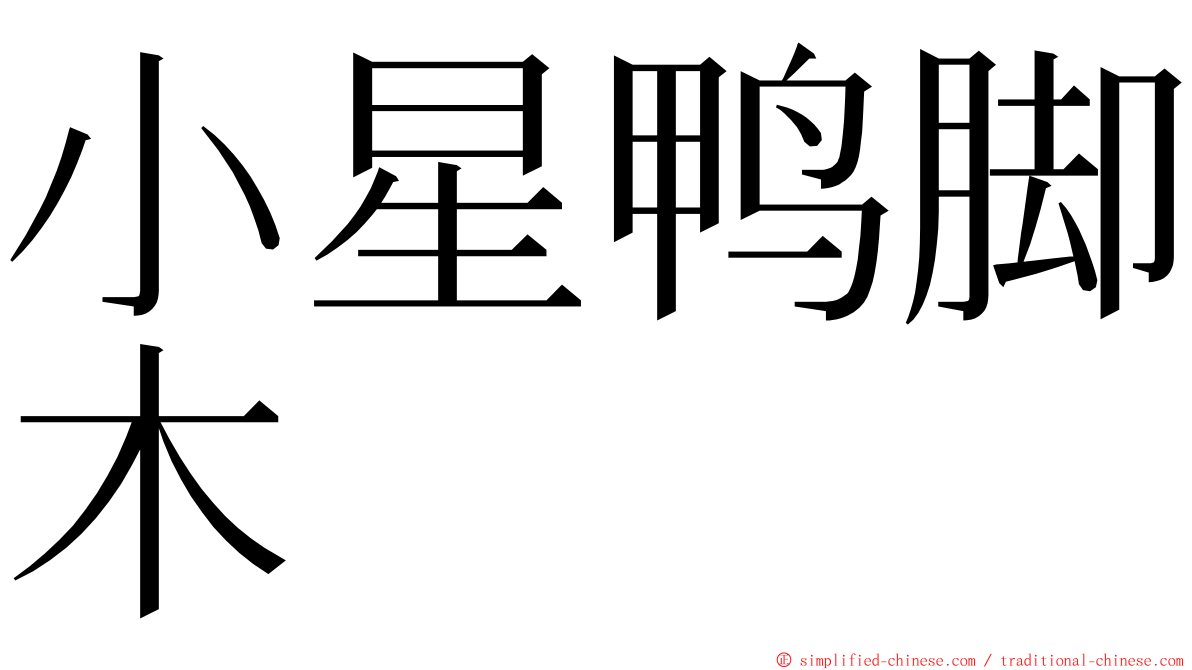 小星鸭脚木 ming font