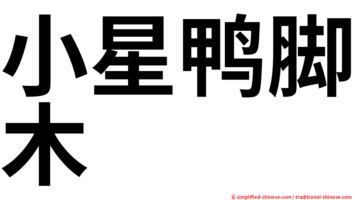 小星鸭脚木