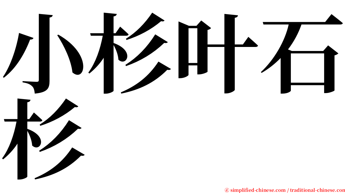 小杉叶石杉 serif font