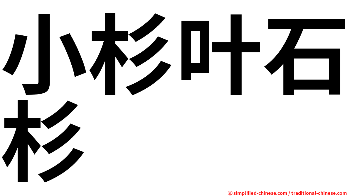 小杉叶石杉