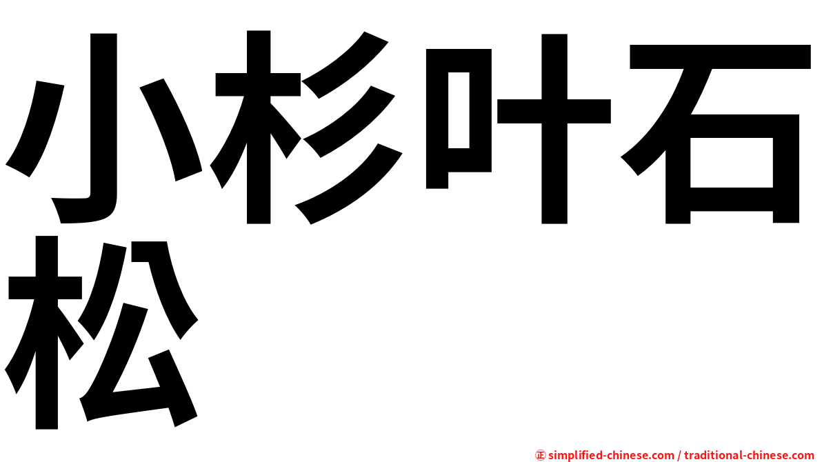 小杉叶石松