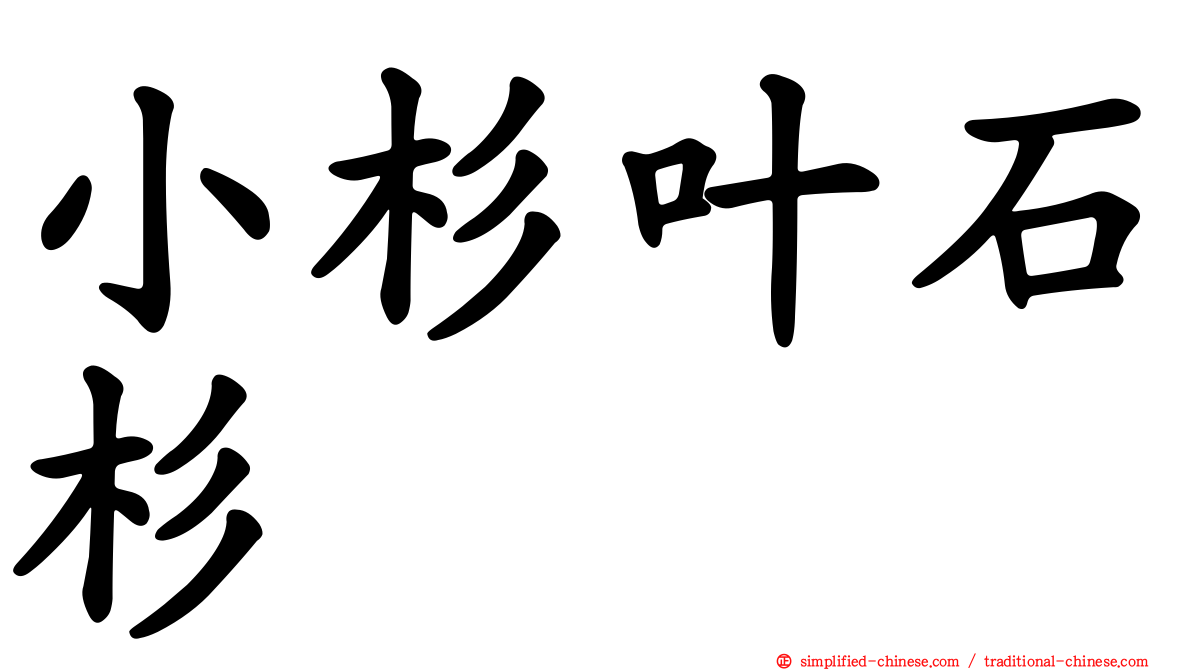 小杉叶石杉