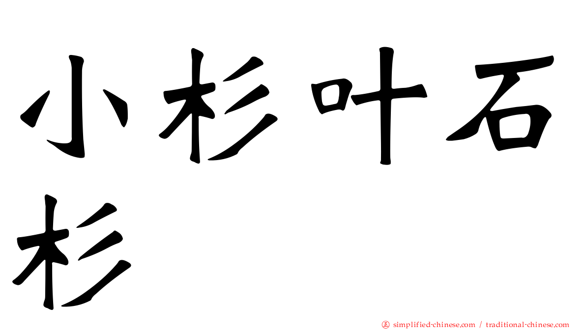 小杉叶石杉
