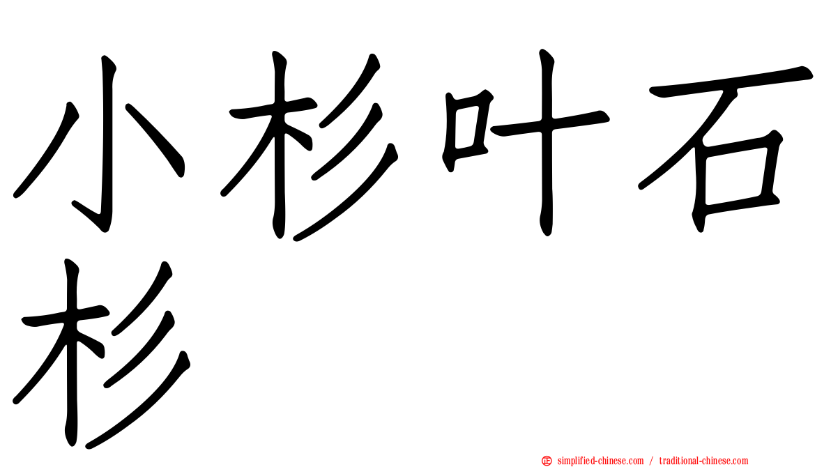 小杉叶石杉